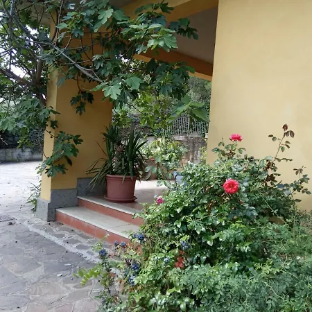 Panorami